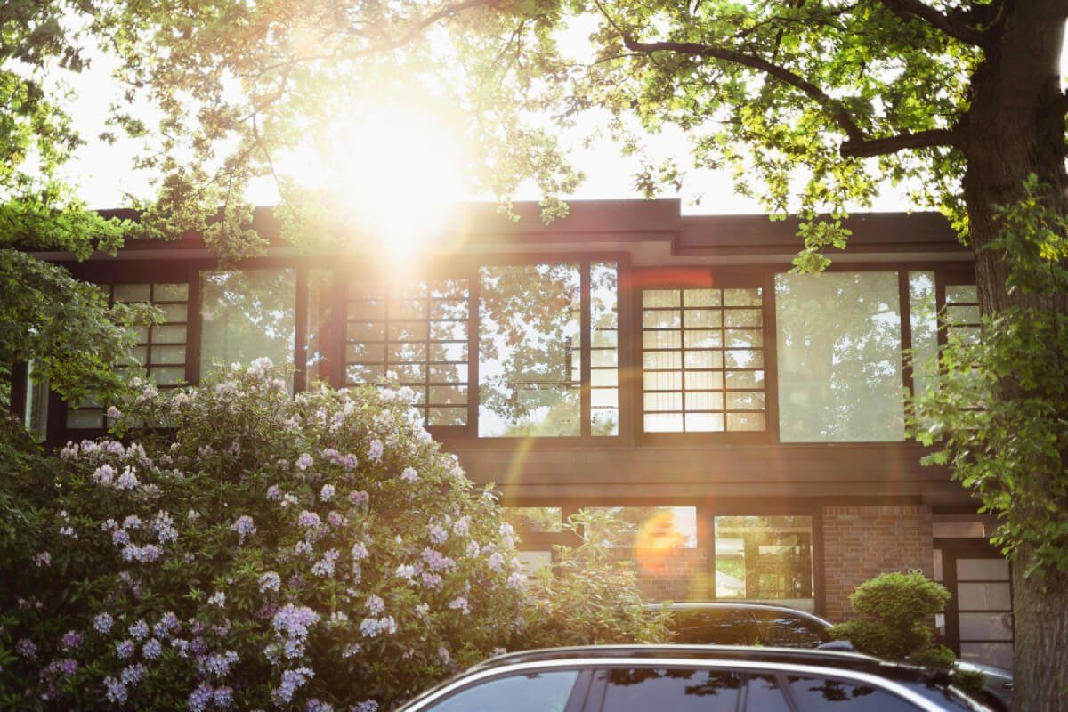 a house with a tree in the front