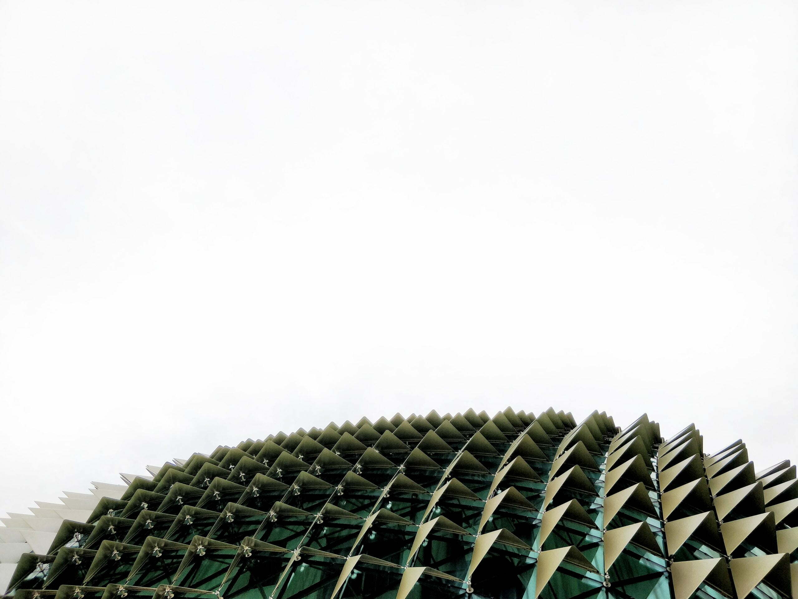 close-up of a green plant