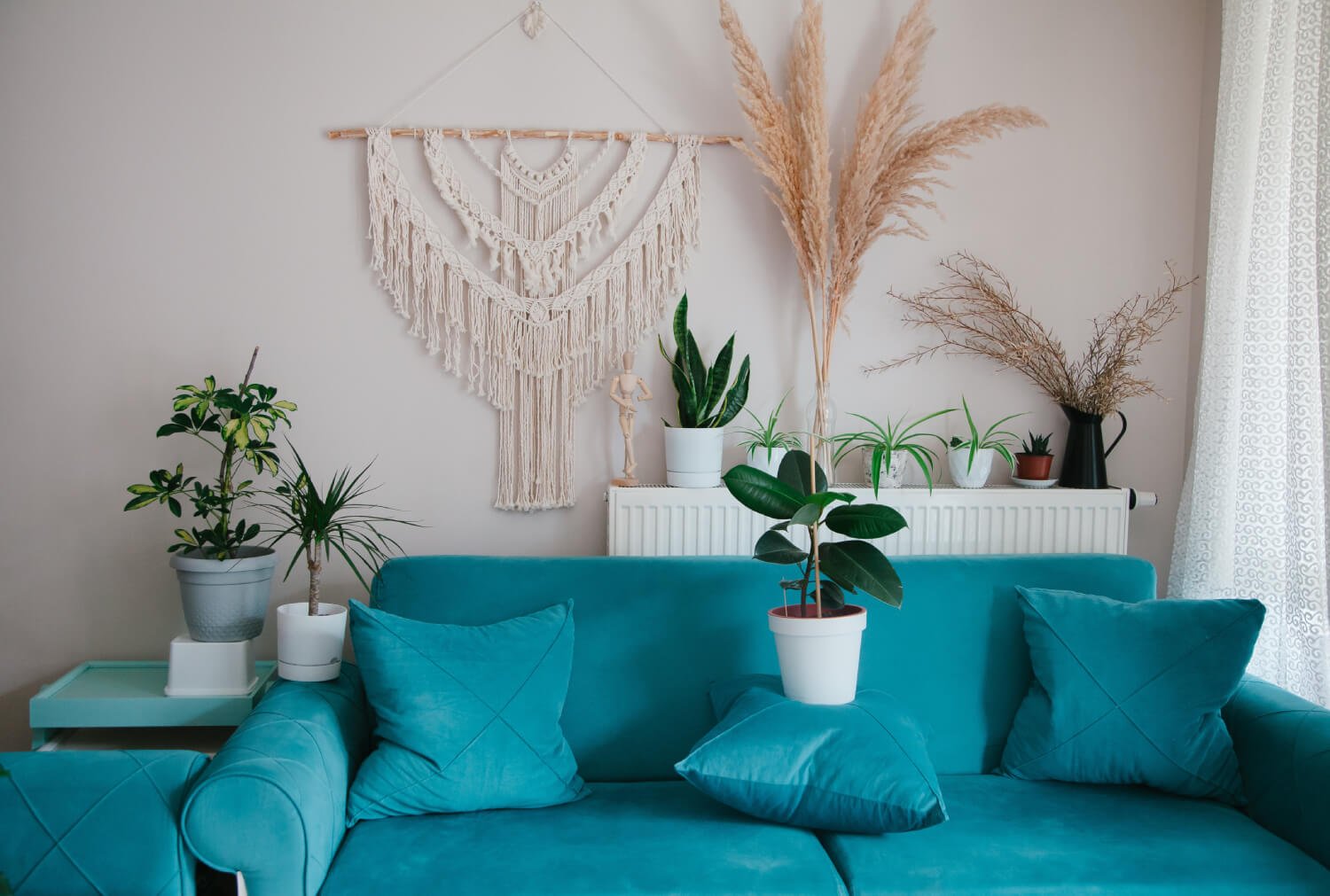 a couch with a plant in the background
