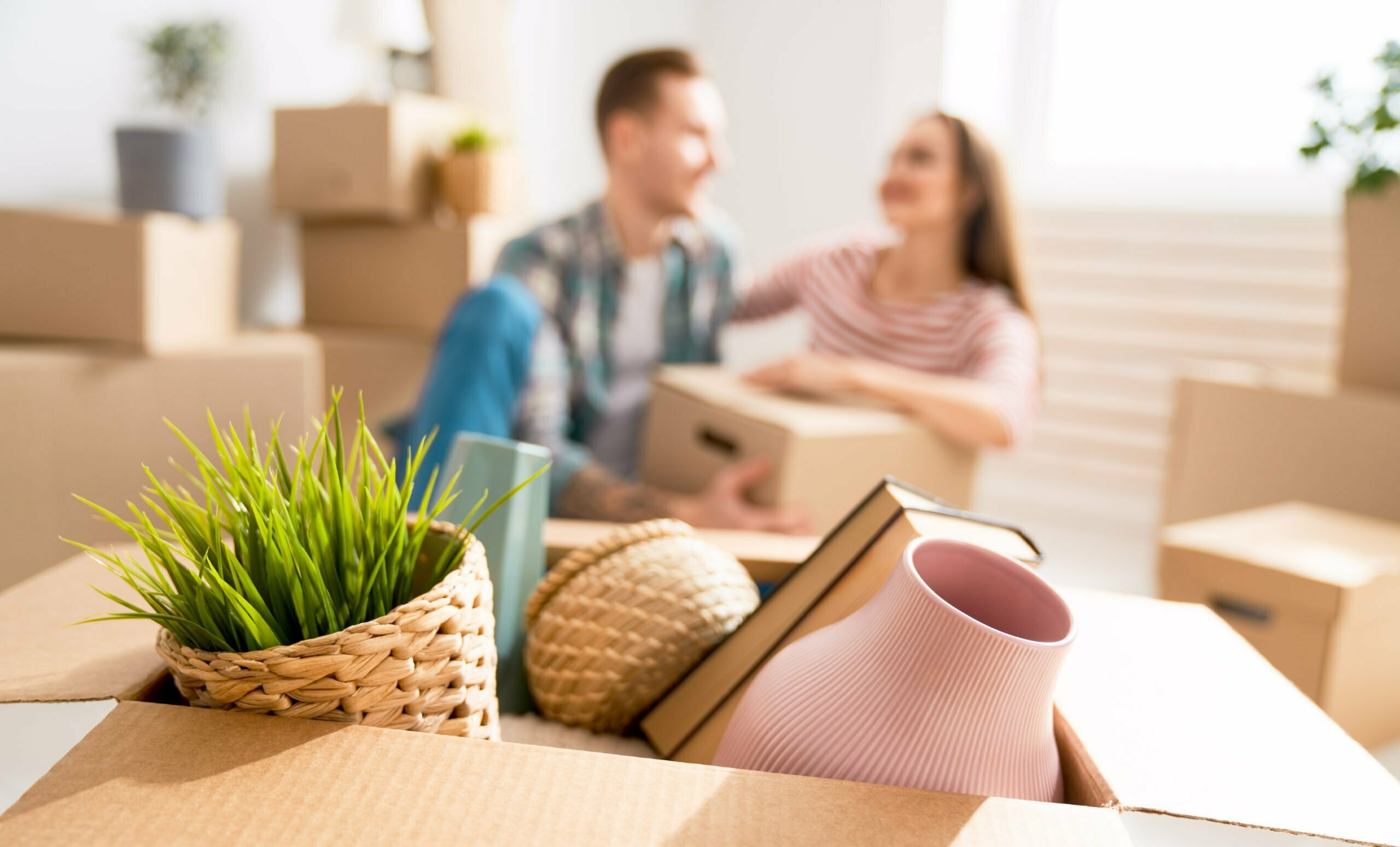 a man and a woman sitting at a table with a box of chocolates and a plant and